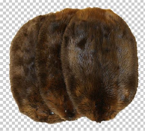 Fur Trade Clipart 10 Free Cliparts Download Images On Clipground 2023