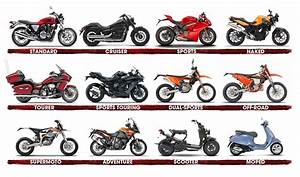 How To Choose The Right Motorcycle For You A Beginner 39 S Guide