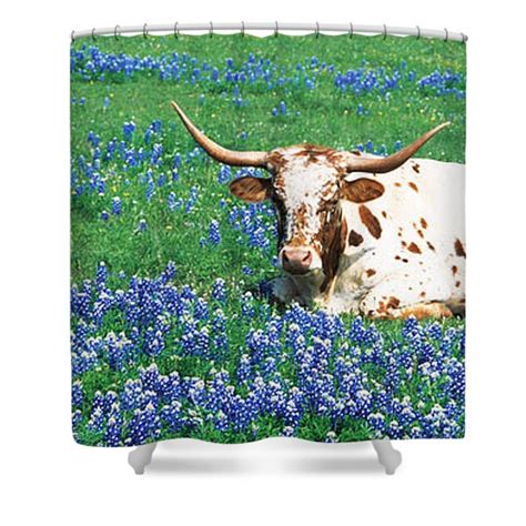 Texas Bluebonnet Shower Curtains Page 2 Of 44 Fine