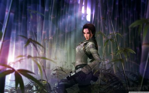 Lara Croft FanArt Ultra HD Desktop Background Wallpaper for 4K UHD TV ...