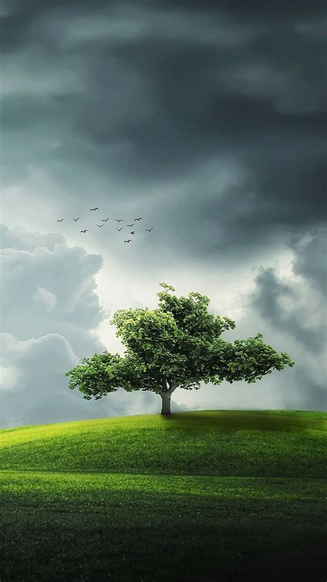 Download My Saves By Kbradford4 Alone Tree Wallpapers Alone