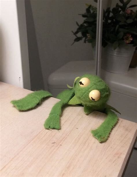 Muppet racemania (2000 video game). falling off the table kermit | kermit the frog | Pinterest ...