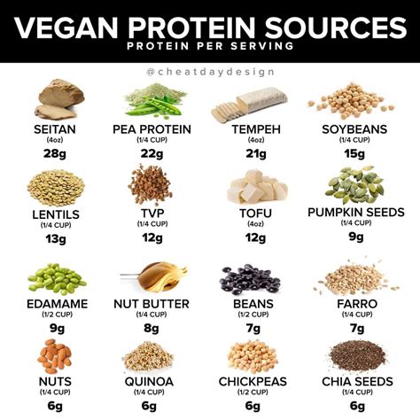 What Does 100g Of Protein Look Like A Visual Guide 2023