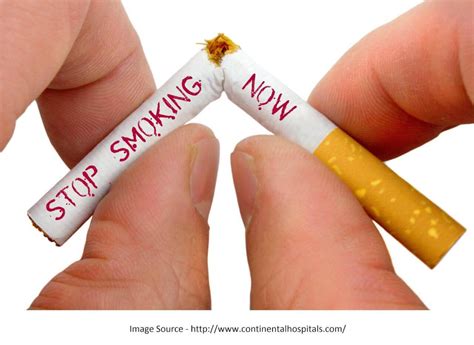 exploring effective quit smoking aids products netezine articles