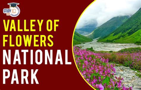 Valley Of Flowers National Park Details Location Flora And Fauna