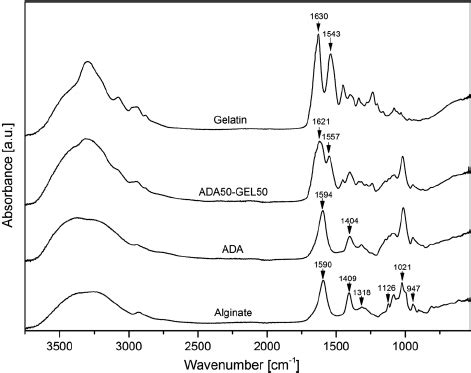 Atr Ftir Spectra Of Sodium Alginate Ada Gelatin And Ada Gel