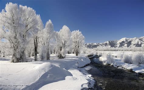 Free Download Winter Season Nature Beautiful Hd Desktop Wallpapers