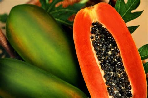 10 Science Proven Health Benefits Of Pawpaw Dnb Stories Africa