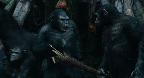Download subtitle indonesia dawn of the planet of the apes terlengkap di subscene.id. Archives Of The Apes: Dawn Of The Planet Of The Apes (2014 ...