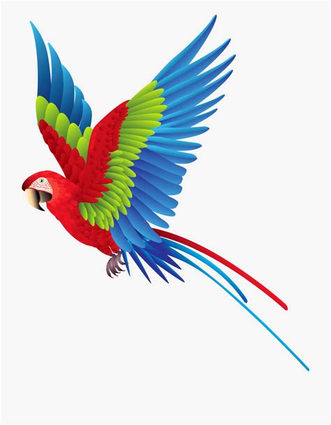 Download High Quality Parrot Clipart Green Transparent Png Images Art