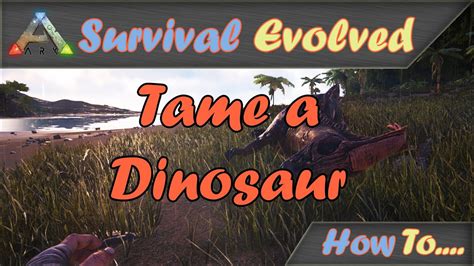 Ark Survival Evolved How To Tame Dinosaurs Pc Tutorial Youtube