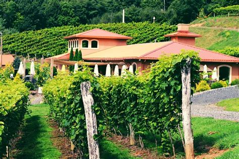20 Best North Carolina Wineries And Vineyards Lost In The Carolinas
