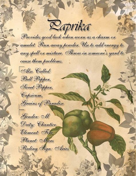 Book Of Shadows Herb Grimoire Paprika By Conigma On Deviantart Wicca