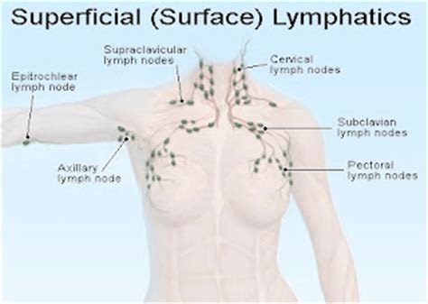 Posted on march 31, 2019 by admin. SAN DIEGO LYMER: Pain in areas of lymph nodes