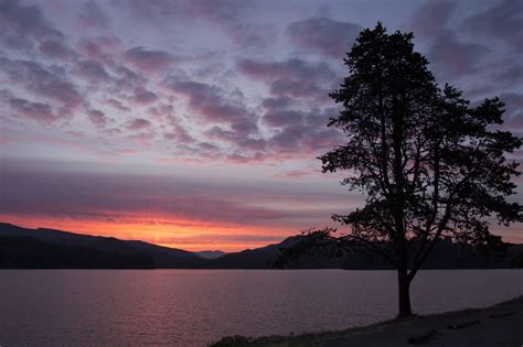 Free Images Nature Afterglow Cloud Sunset Dusk Tree Evening