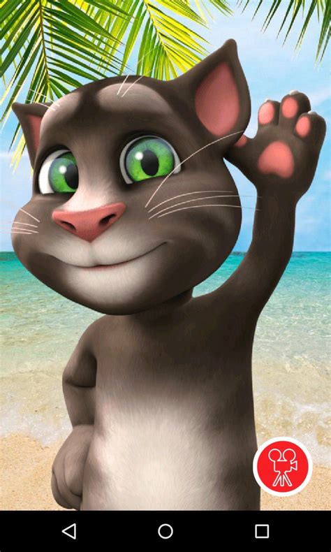 Requirements Overview Talking Tom For Messenger Application