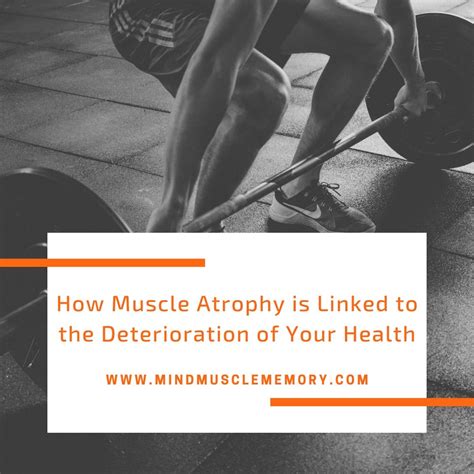 How Muscle Atrophy Is Dreadful To Your Health And Longevity Mind