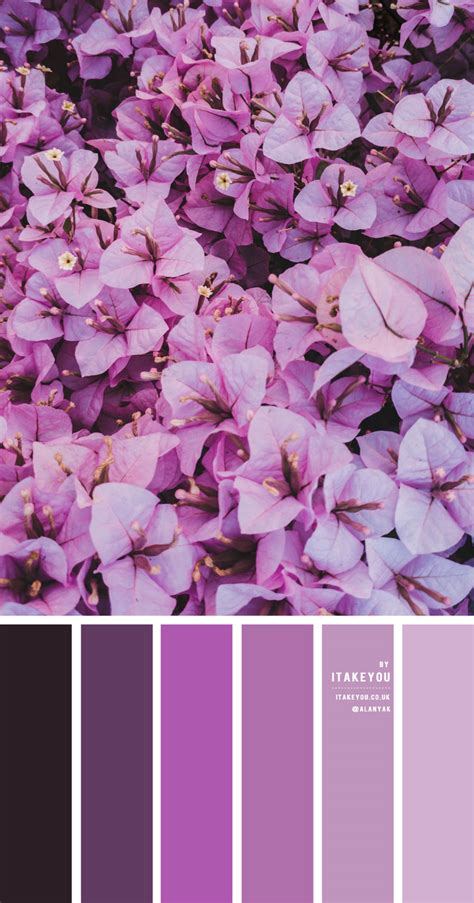 Lilac And Purple Colour Scheme Colour Palette 40 I Take You Wedding