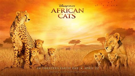 2020 popular 1 trends in jewelry & accessories, home & garden, cellphones & telecommunications, luggage & bags with big african animals and 1. African cats 2011 nature documentary film by Disneynature ...