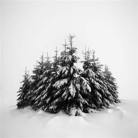Daniel Řeřicha Takes Us To A Winter Wonderland In Black And White