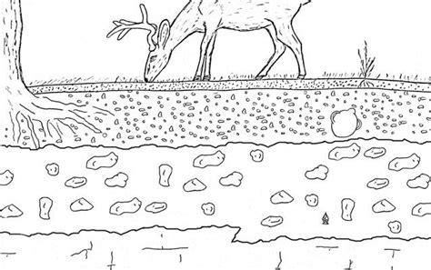 Free Coloring Pages Of Soil