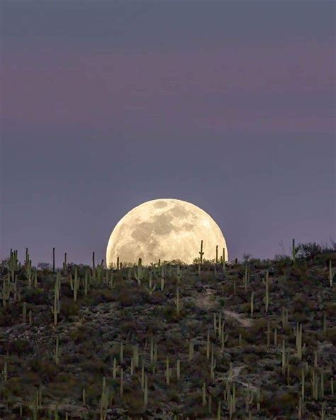 Supermoon Rising Over Arizona Desert Beautiful Moon Images Instagram