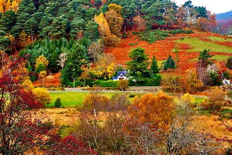Journey Across The Amazing Earth Wonderful Autumn In Glendalough And