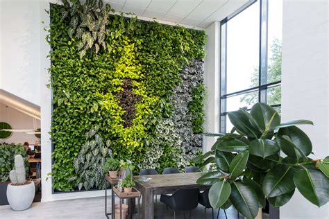 Green Wall Made Sustainable And Professional Living Plant Walls