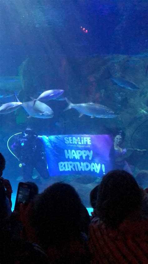 Have An Underwater Birthday Party At SEA LIFE Aquarium Amber Likes