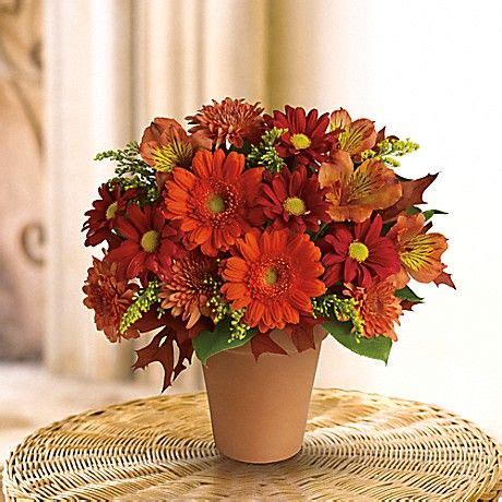 Golden glow illuminates the spring garden with golden, finely textured leaves. Golden Glow | Flower shops toronto, Thanksgiving flowers ...