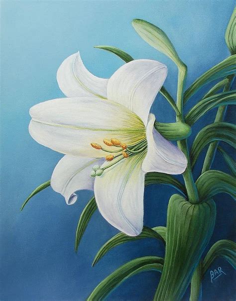 Easter Lily Painting By Barbara Robertson Fine Art America