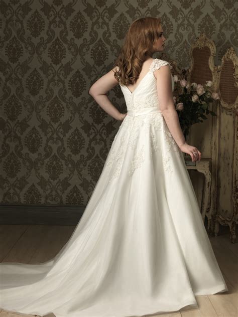 A Line Princess V Neck Cap Sleeve Tulle Lace Plus Size Designer Wedding