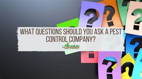 What Questions Should You Ask A Pest Control Company Home Of