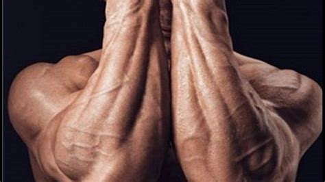 How To Get Veins In Your Arms How To See More Veins And Look Leaner