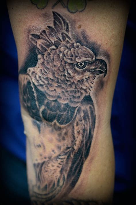 harpy-eagle-tattoo-eagle-tattoo,-tattoo-work,-custom-tattoo