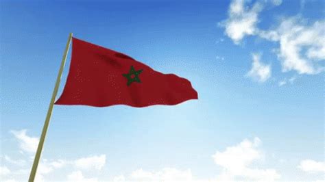 Morocco Flag GIF - Morocco Flag Wave - Discover & Share GIFs | Flag gif, Morocco flag, Flag