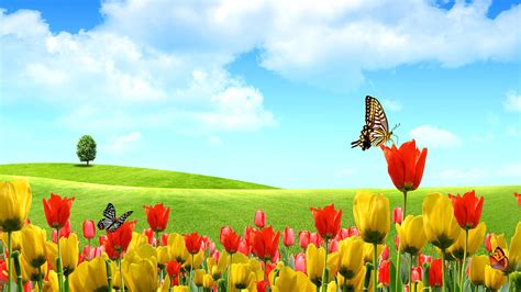 Spring Cool Nature Wallpapers Organic Widescreen Nature