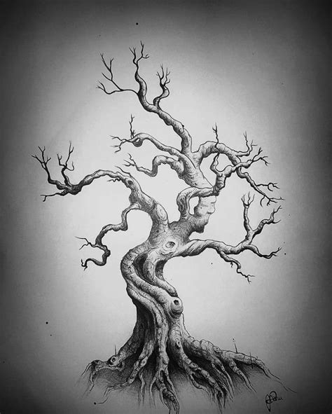 Pin By Christopherplowmaker On Tree Art Tree Drawings Pencil Twisted
