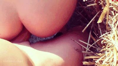 Rule Breeding Caption Cum Cum In Pussy Cum Inside Cum On Penis Fjm Hot Sex Picture