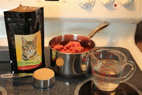 He is the only one that. U-Stew for Cats | Homemade cat food, Benadryl for cats ...