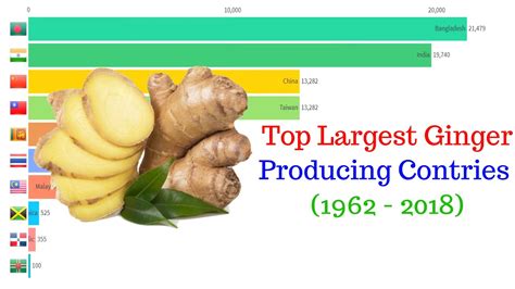 Top Largest Ginger Producer Countries Youtube