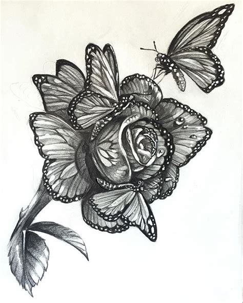 Rose And Butterfly Drawing At Explore Collection