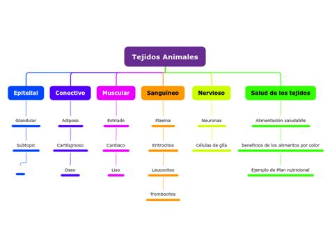 Tejidos Animales Mind Map