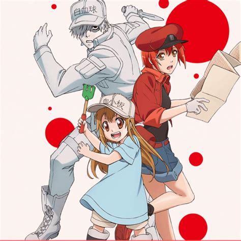 Hataraku Saibou Wiki Anime Amino