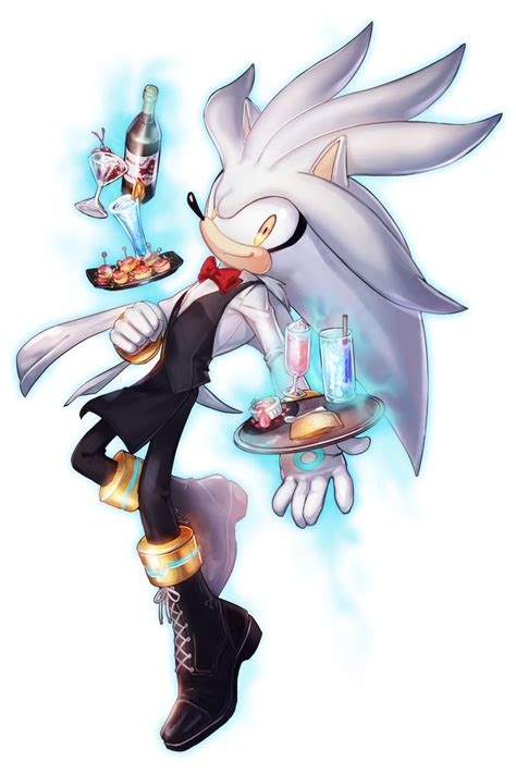 Silver The Hedgehog Silver The Hedgehog Sonic Art Sonic Fan Art