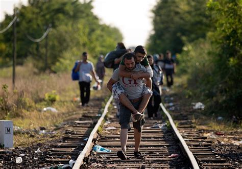 flüchtlinge an der ungarischen grenze nzz