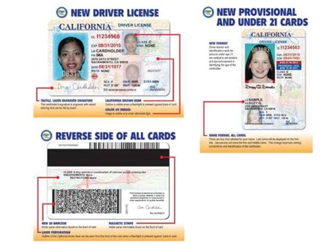 Find Audit Number Texas Drivers License Iconintensive