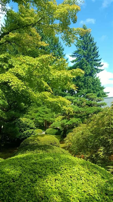 Pin On Japanese Garden Inspiration