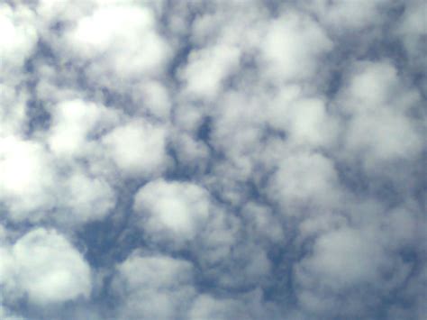 Gambar Mengamati Mengidentifikasi Jenis Awan Cumulus 18 Gambar Tinggi