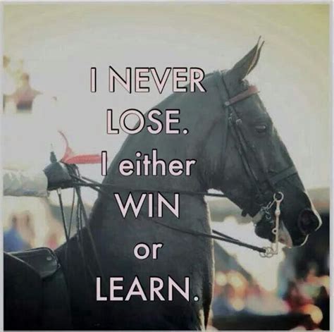 Win Win Horse Quotes Horse Riding Quotes Riding Quotes